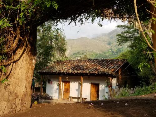 Hacienda Gonzabal — Loja — photo 3