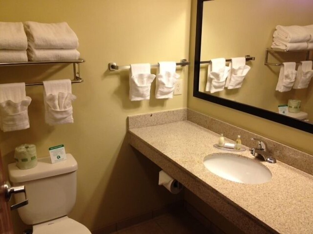 Cobblestone Inn & Suites Bottineau - photo 14