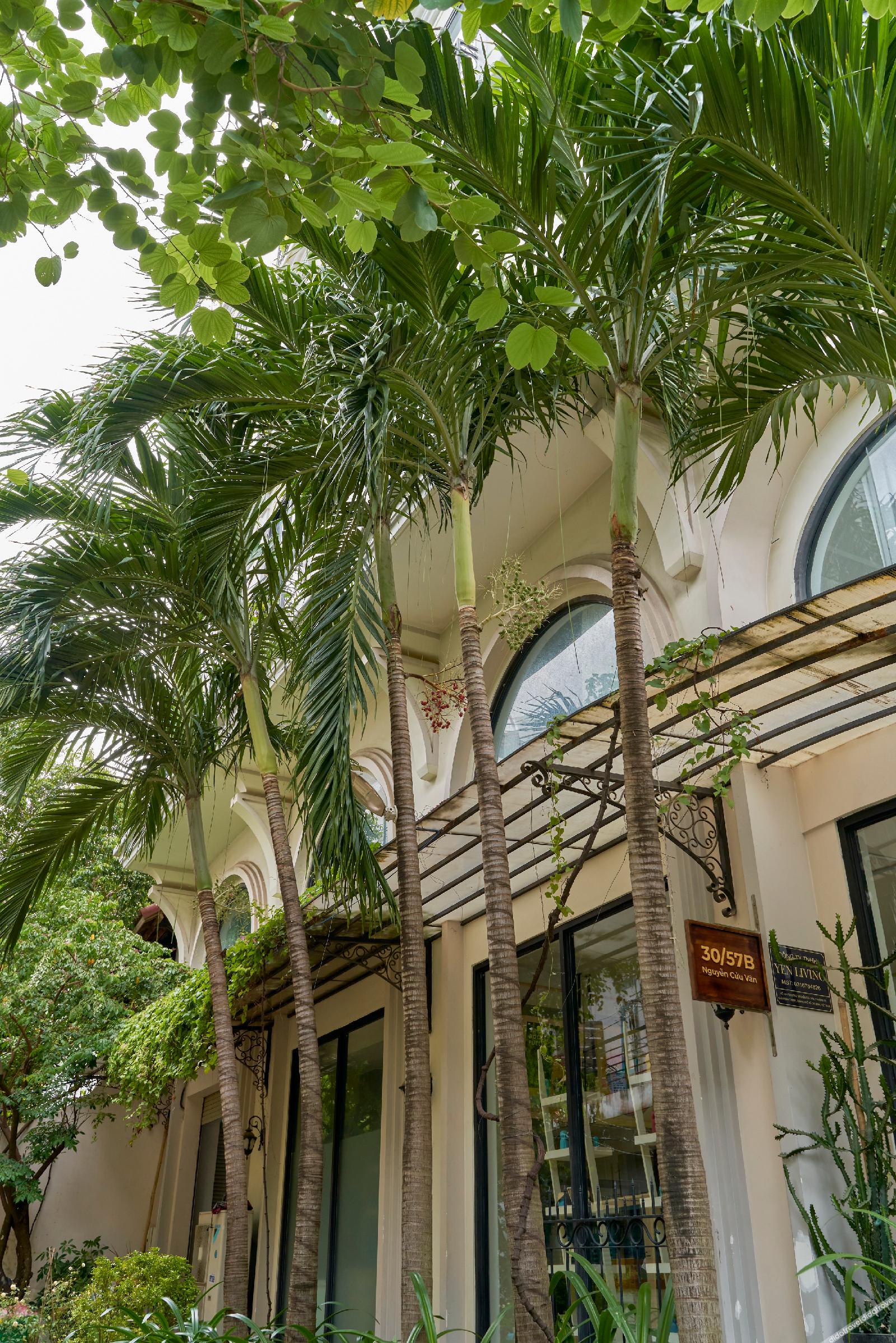 Yen Living Binh Th Nh - carbon neutral hotel in Ho Chi Minh City