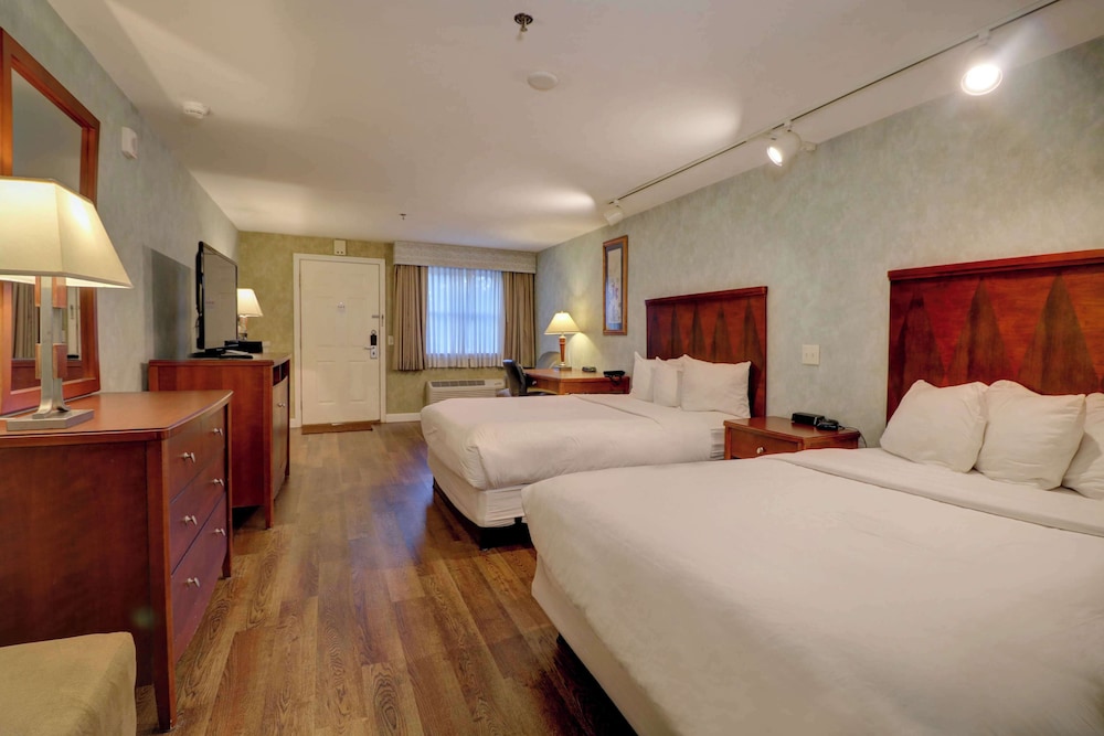 Senator Inn & Spa - photo 22