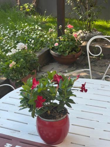 Nuova Casa vacanze nonna Prassede con giardino e posto auto — 4-Star Luxury Hotel in Lecco, Italy