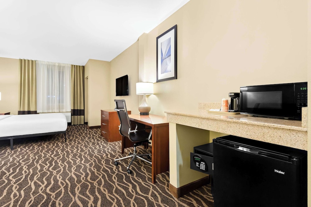 Comfort Suites Tampa Airport North - photo 16