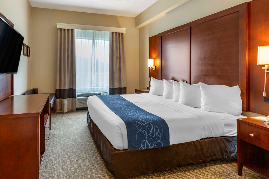Comfort Suites Manassas Battlefield Park - photo 10