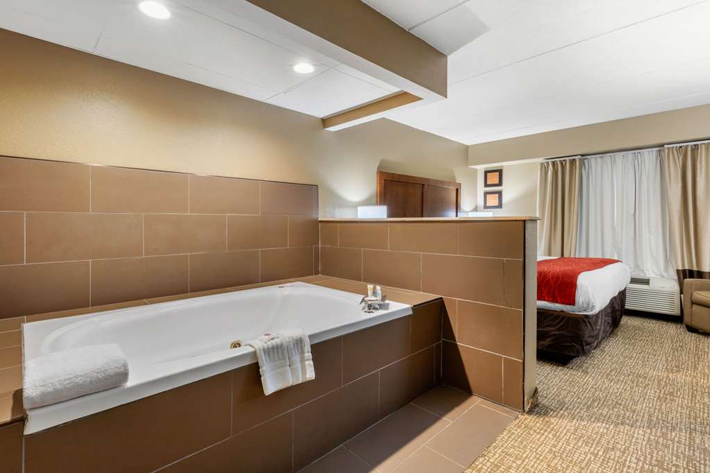 Comfort Inn & Suites Hamilton Place - photo 10