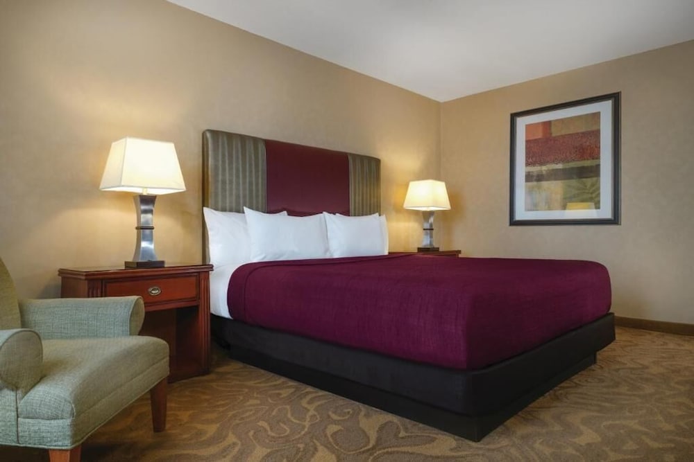 Circus Circus Hotel Casino & Theme Park - photo 8
