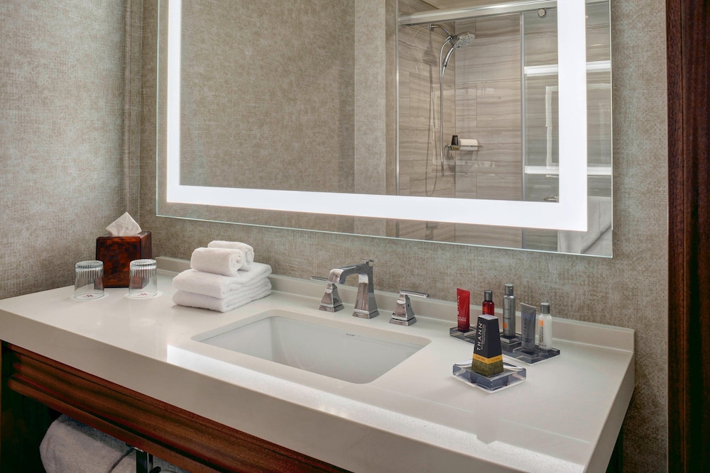 Detroit Marriott Southfield - photo 10