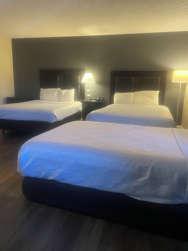 Sutter Inn - photo 15