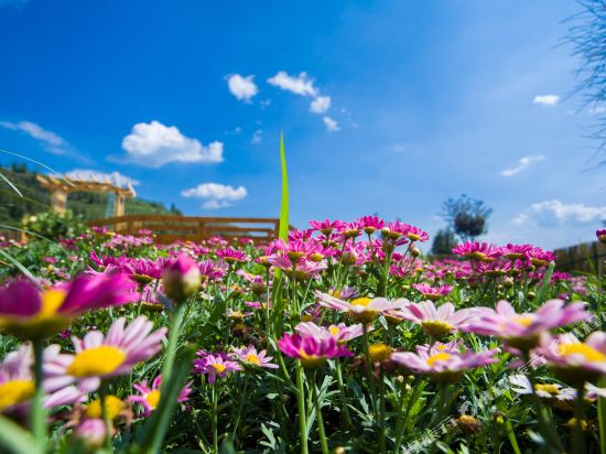 Fuxian Lake dongwange Hotel in Chengjiang, People's Republic of China