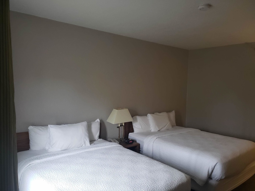 Country Inn & Suites by Radisson Fairview Heights IL - photo 7