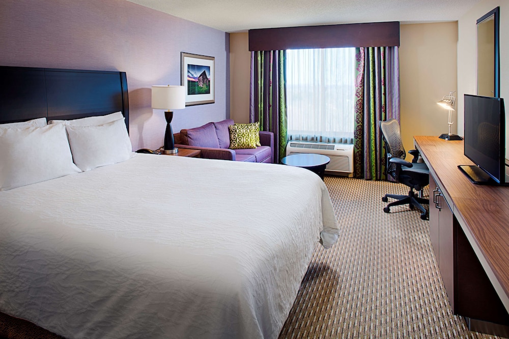 Hilton Garden Inn Hartford North Bradley International Airport - photo 17