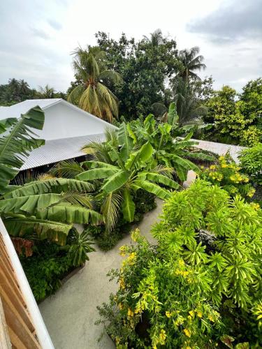 Seaside Dhigurah — Dhigurah — photo 2