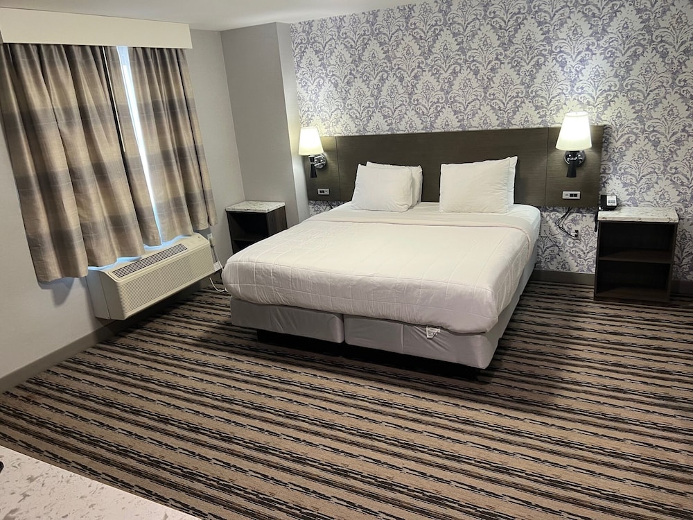 The Essence Hotel At Jfk - photo 8
