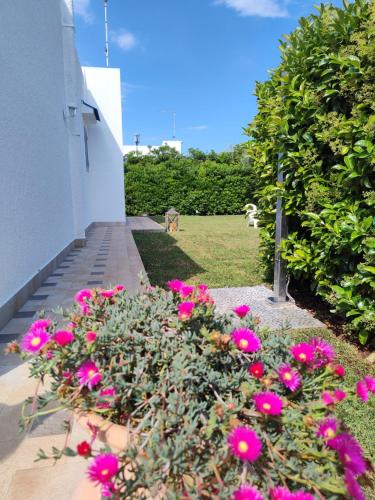 Endless Summer — 4-Star Luxury Hotel in None, Italy