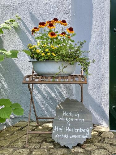 Hof Hallenberg — Hallenberg — photo 3