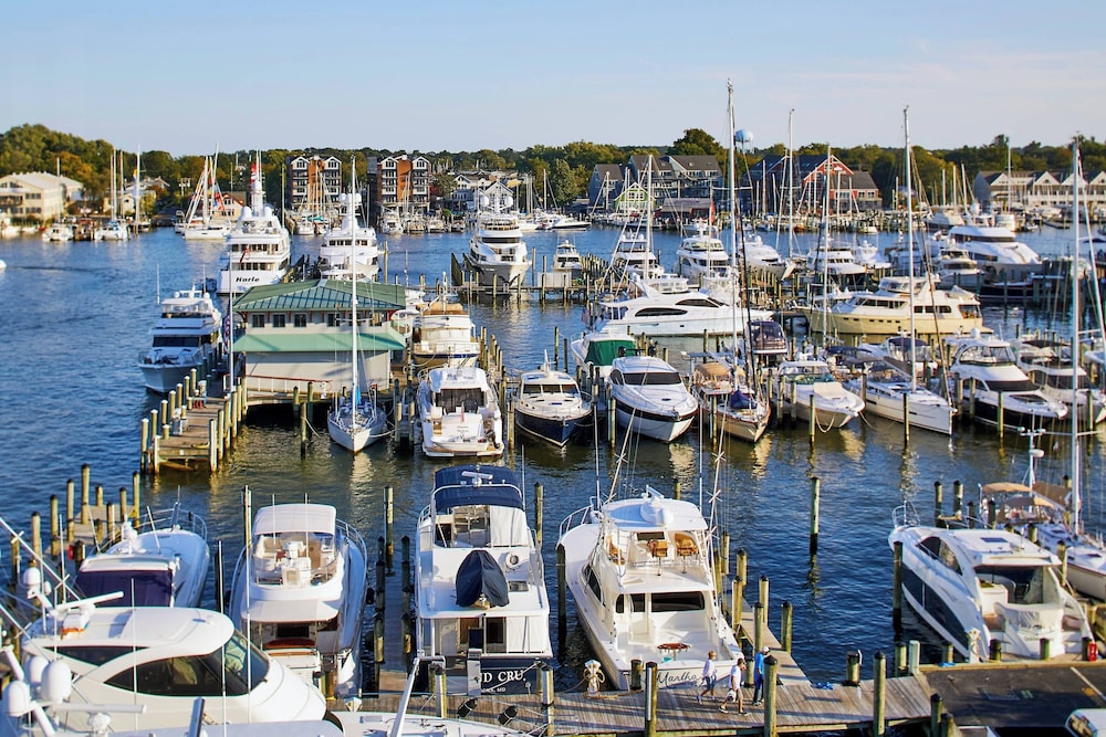 Annapolis Waterfront Hotel Autograph Collection - photo 19