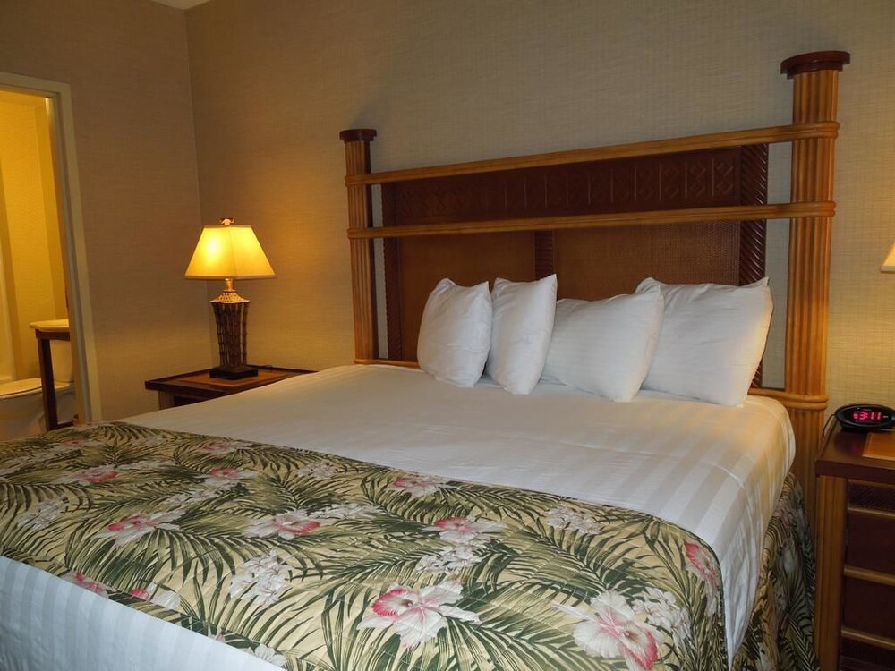 Maui Sands Resort & Indoor Waterpark - photo 12