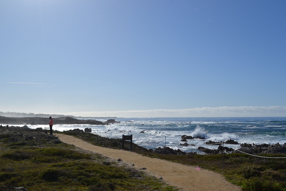 Monterey Peninsula Inn - photo 45