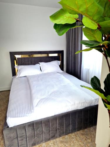 Azzur Studios Aparthotel — Constanta — photo 3