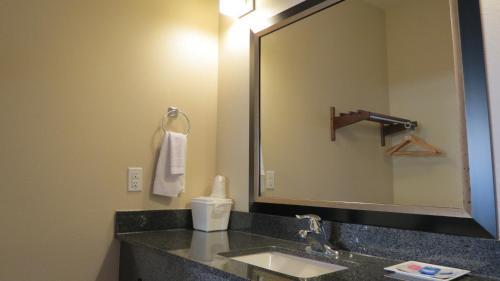 Grand Inn and Suites Houston - photo 11