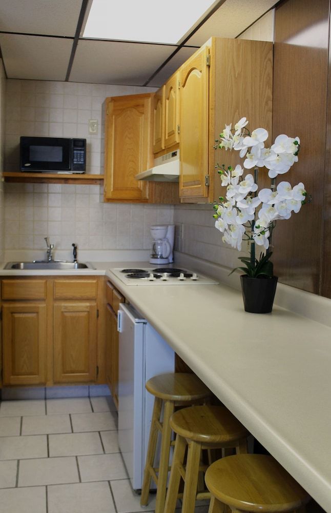 Abellona Inn & Suites - photo 25