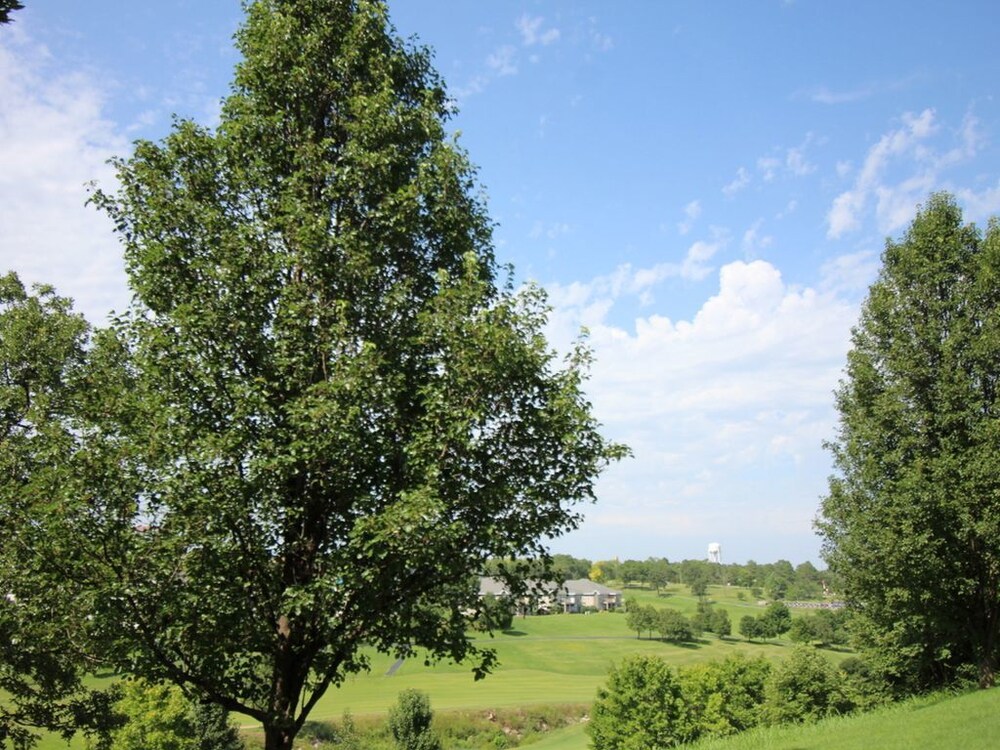 Daydreamer Beautiful Views & Location - photo 26