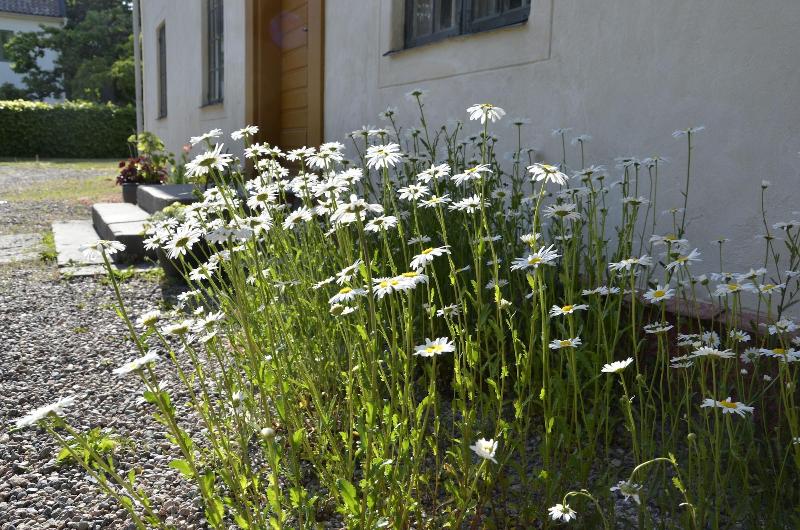 Dahlstromska garden — hotel in Vadstena