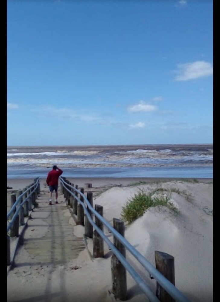 Playa bosque y lago — 4-Star Luxury Hotel in Montevideo, Uruguay