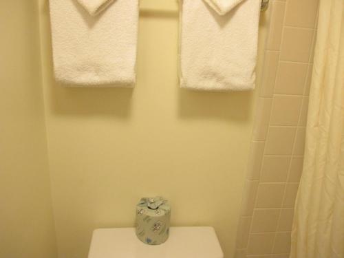 Maridel Motel - photo 2
