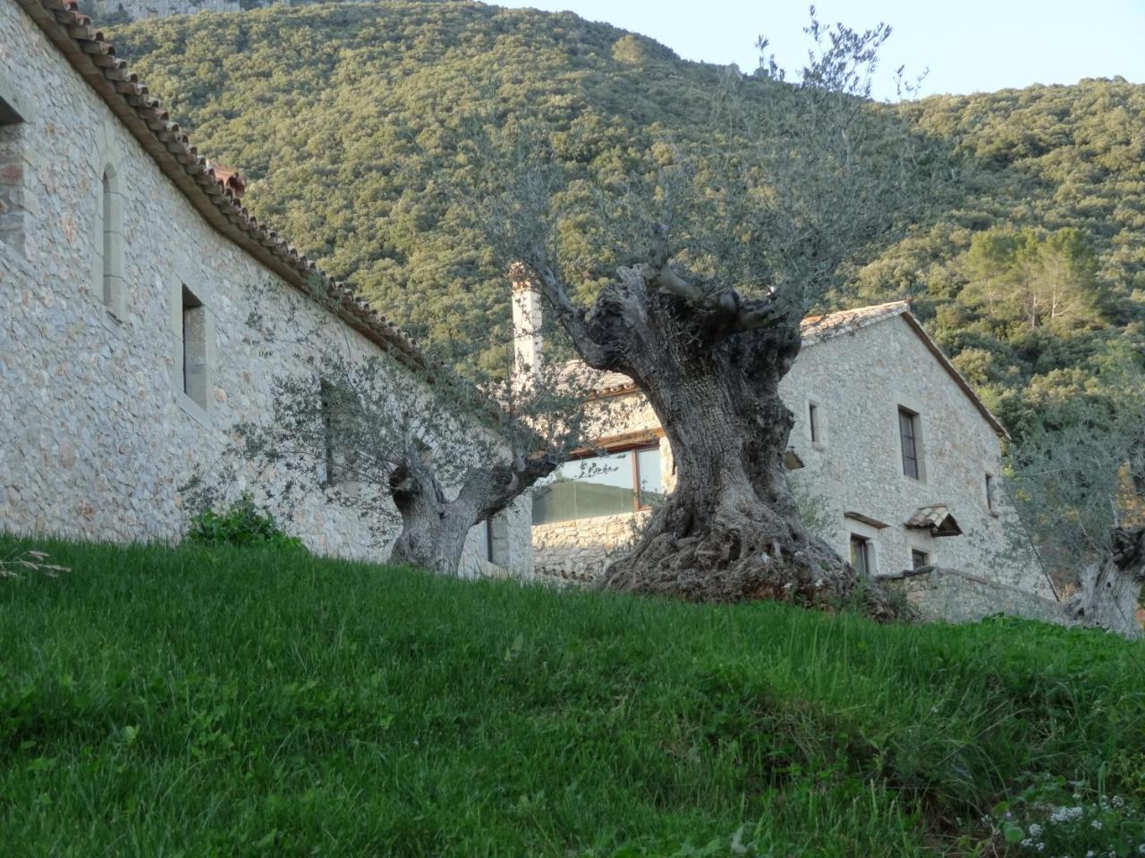 Els Masos de Caula — Girona — photo 3