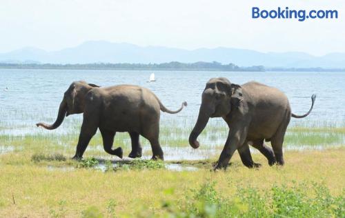 Primate Centre in Polonnaruwa, Sri Lanka