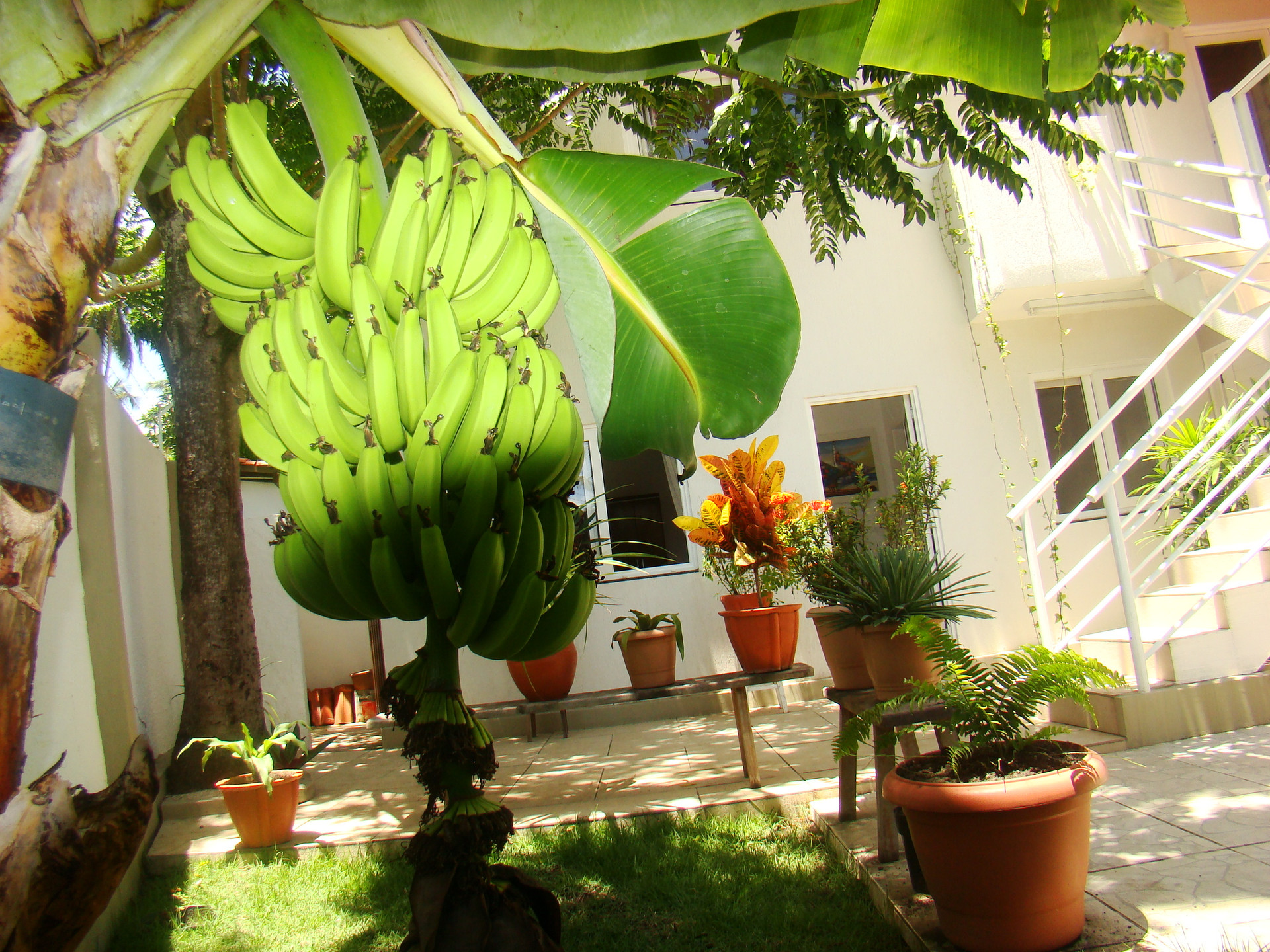 Recanto Verde da Praia - last minute hotel in Maceio