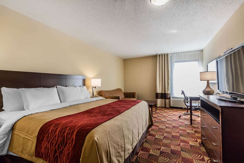 Comfort Inn & Suites Jasper Hwy 78 West - photo 10