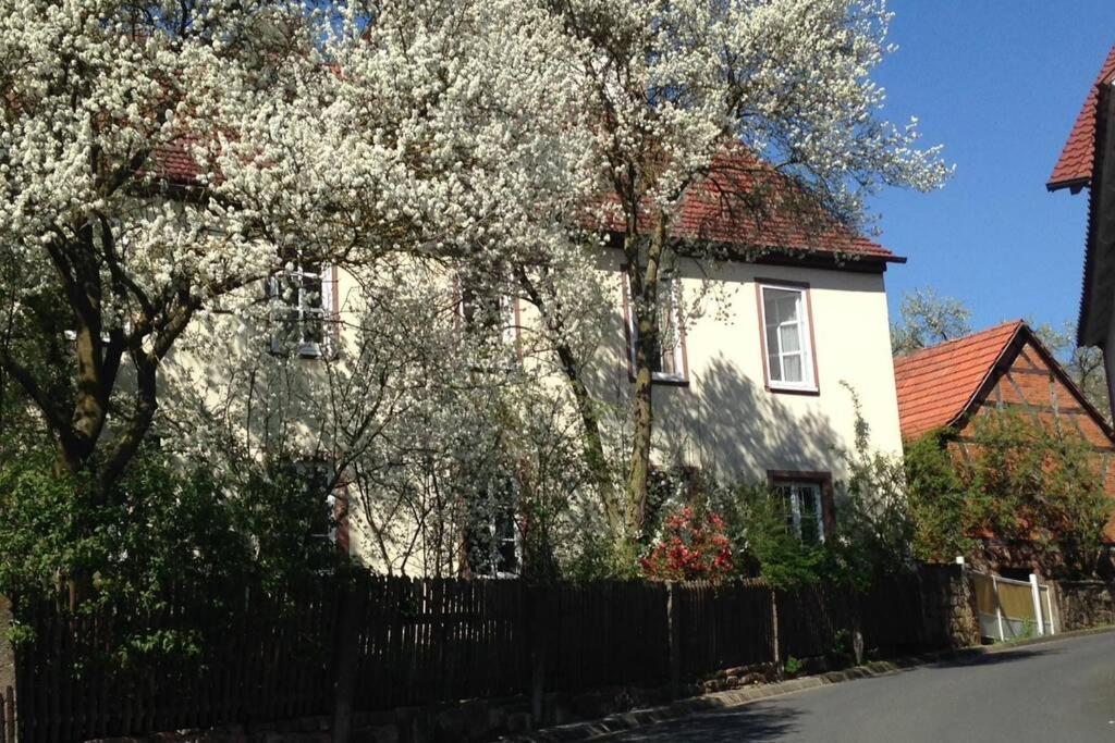Liebevolles Altes Schulhaus Im Vintage Stil pet-friendly hotel Wartmannsroth