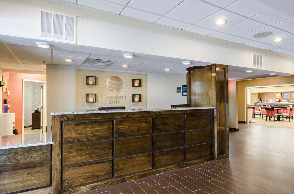 Comfort Inn Randolph Boston - photo 6