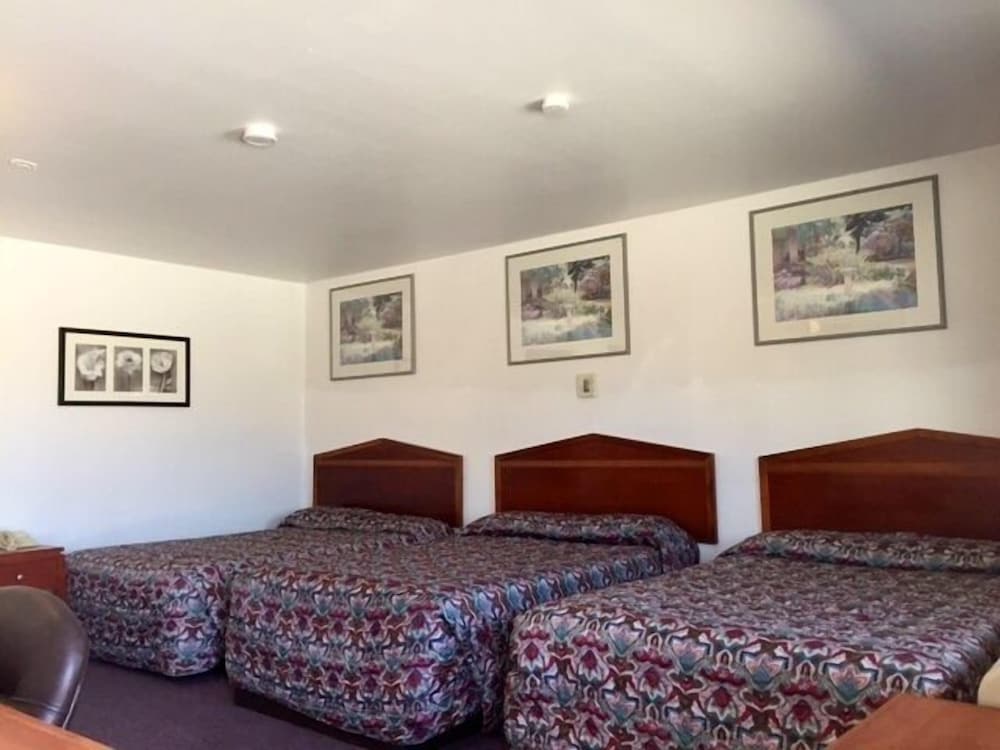 Maple Inn & Suites - photo 14