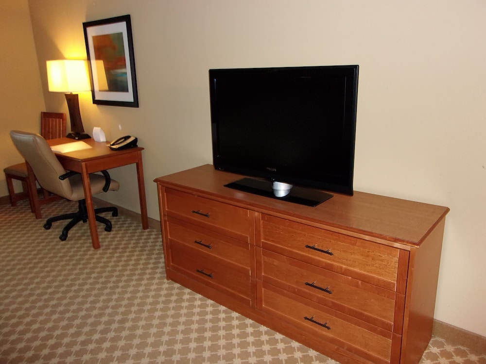 Holiday Inn Express & Suites Chicago West Roselle by IHG - photo 16