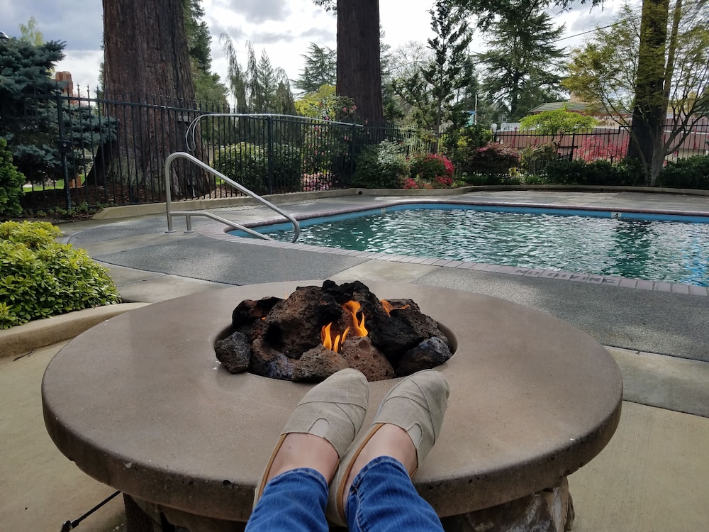 Redwood Garden Inn - photo 10