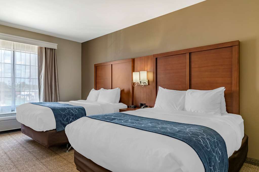Comfort Suites Buda Austin South - photo 8
