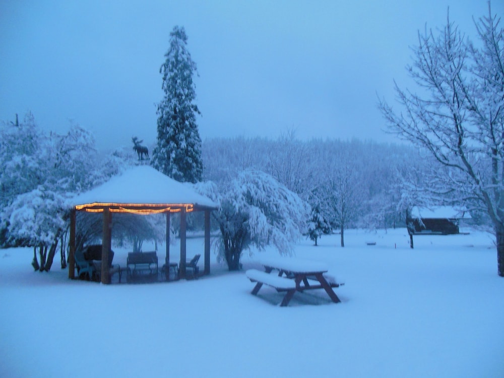 Clark Fork Lodge - photo 28
