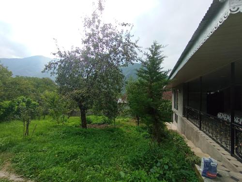 Fun at the foot of the mountain in Sheki, Azerbaijan