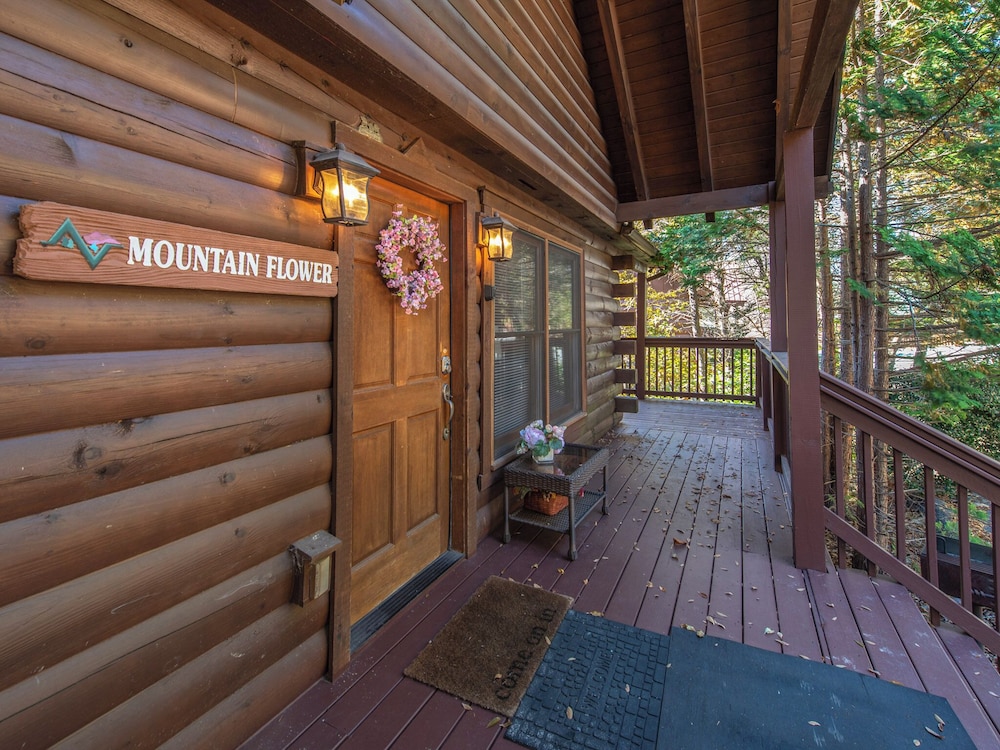 Mountain Flower - photo 31