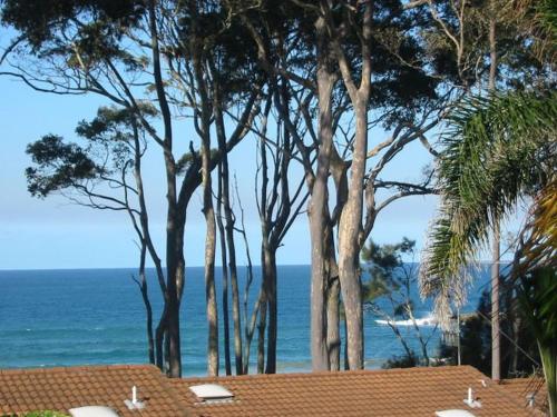 Coastal Retreat Unit 5 — Sunshine Bay — photo 5