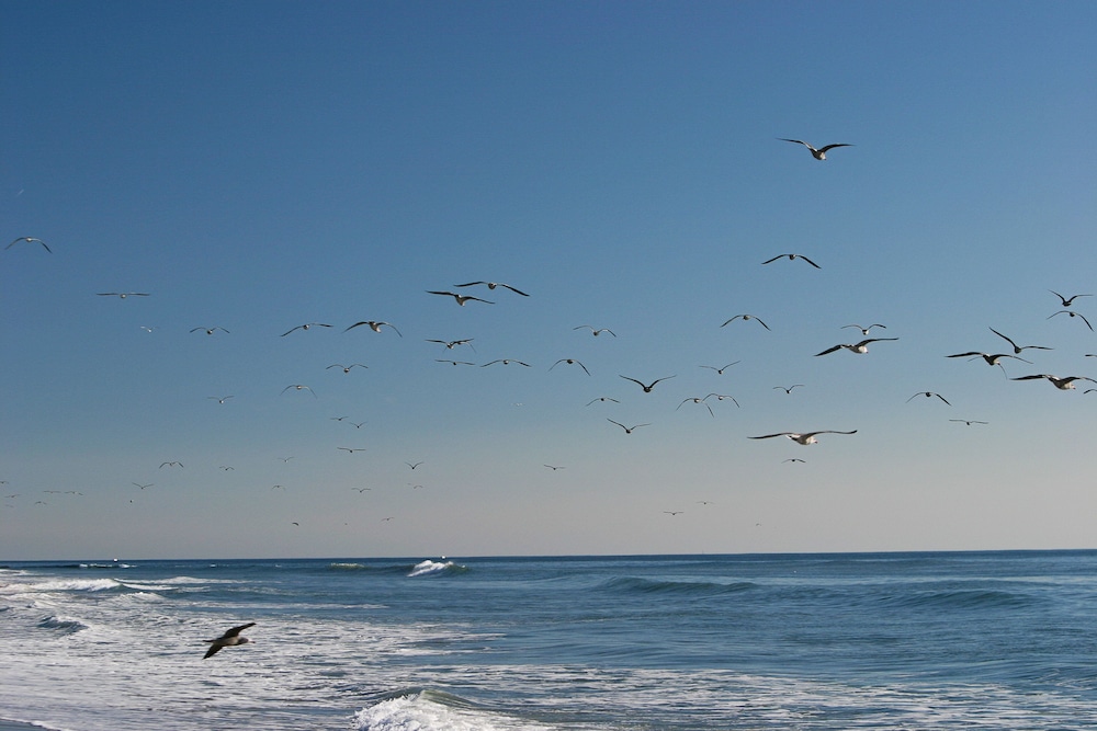 Holiday Inn Express & Suites Carpinteria by IHG - photo 44