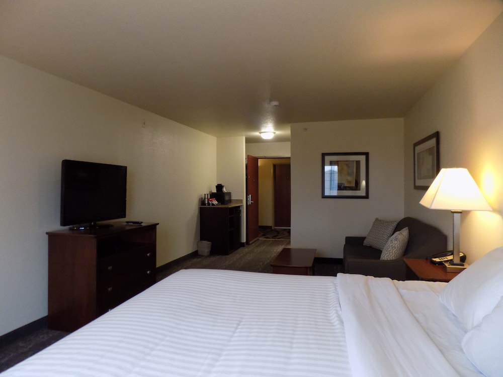 Cobblestone Hotel & Suites Seward - photo 19