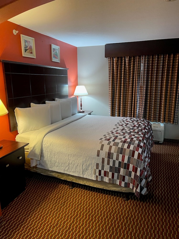 Red Roof Inn & Suites Detroit Melvindale Dearborn - photo 6