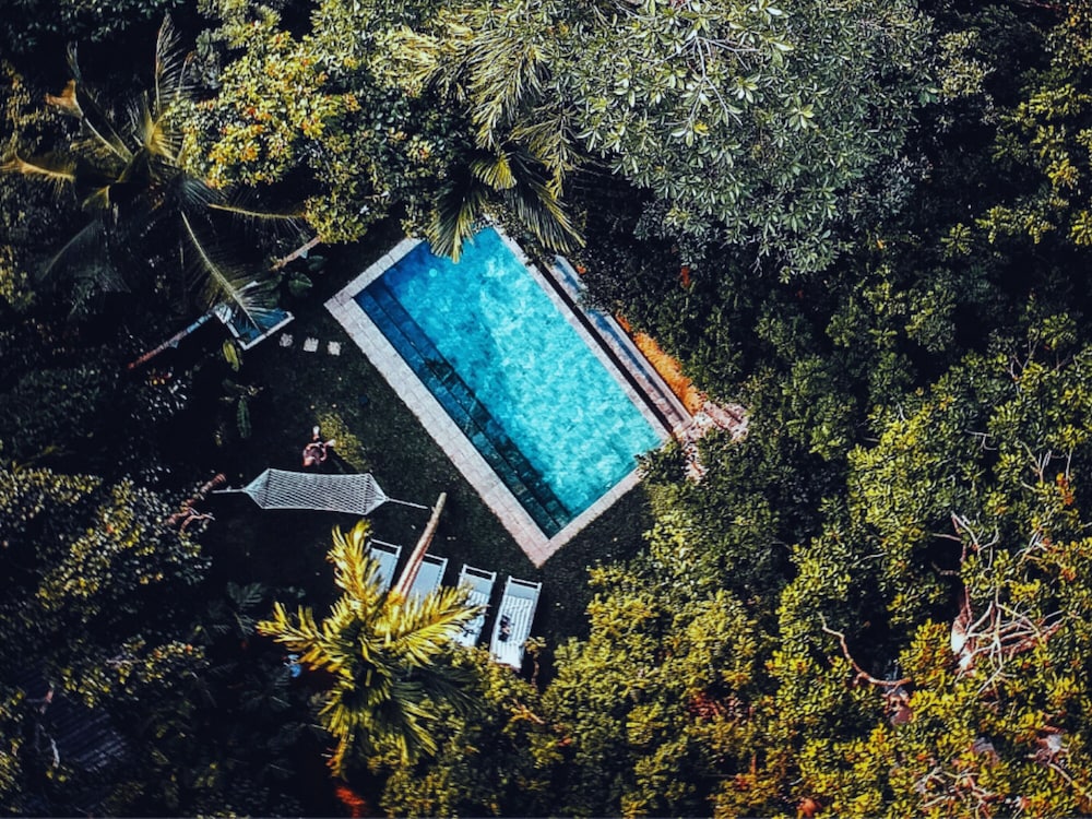 Ceylon Olive in Galle, Sri Lanka