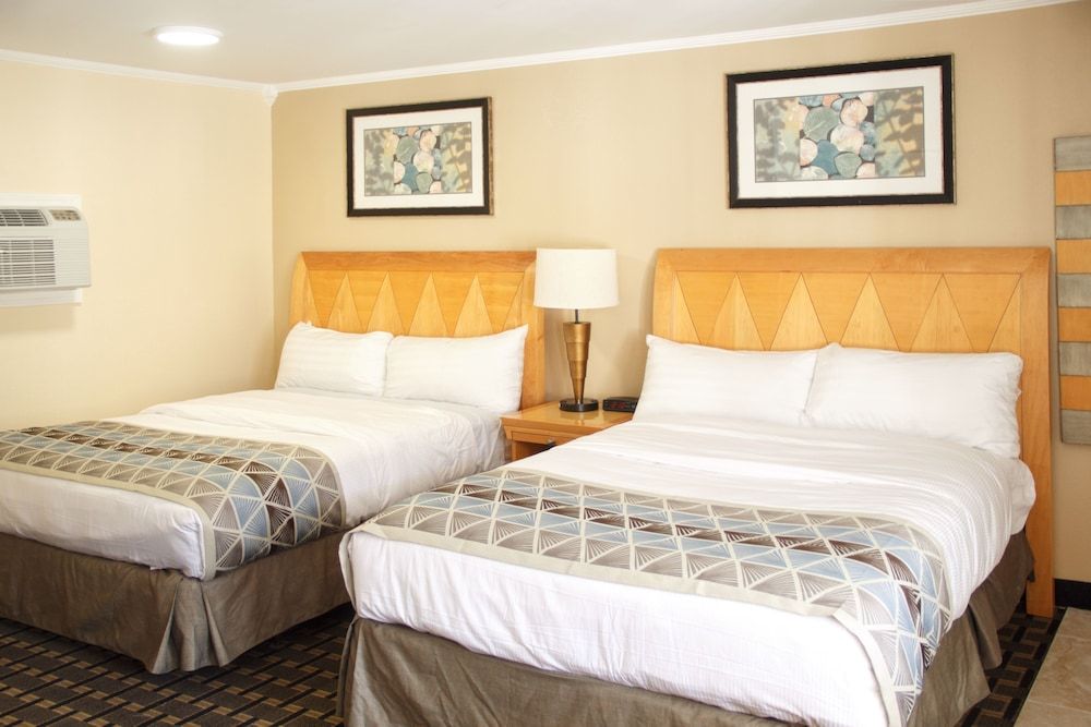 Mount Royal Inn - photo 13