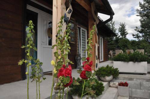 Apartamenty Siedlisko pod Aniołem — Zubrzyca Gorna — photo 3