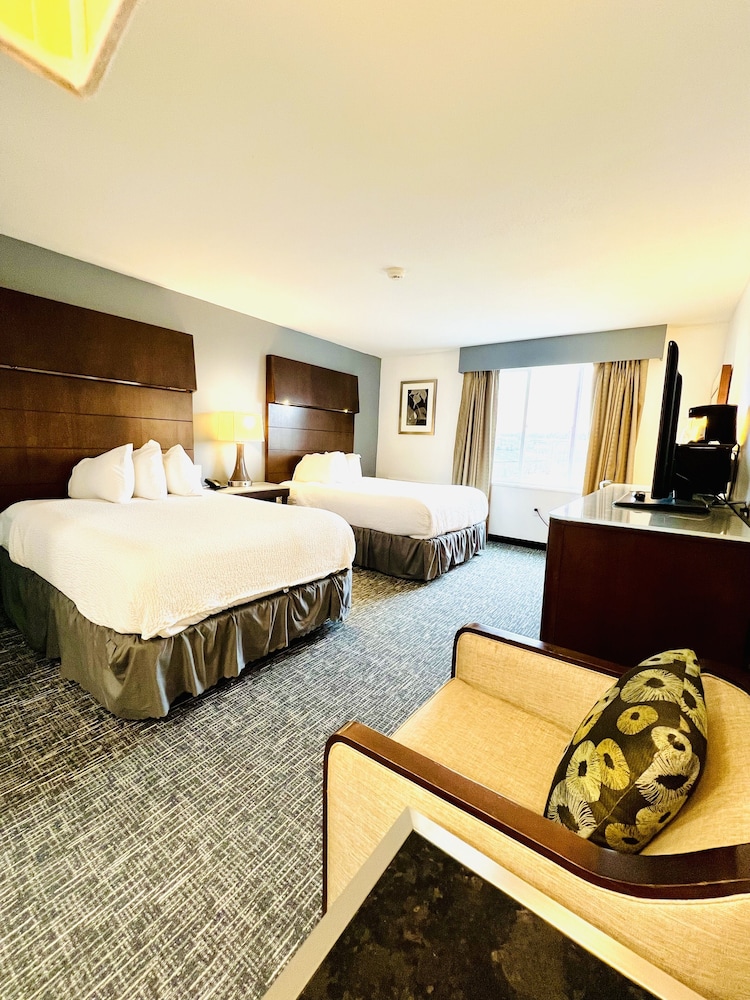 Quality Inn & Suites Caribou - photo 11
