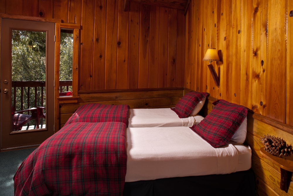 Idyllwild Bunkhouse - photo 17